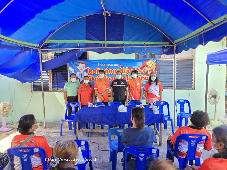 โครงการควบคุมโรคติดต่อและไม่ติดต่อที่เป็นภัยต่อสุขภาพในหมู่บ้าน