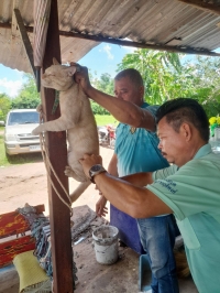 กิจกรรม